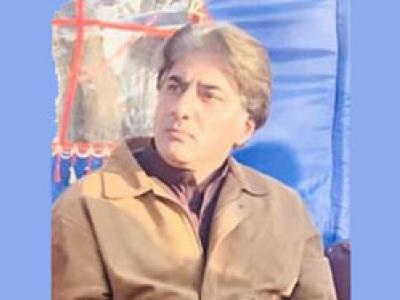 حکومت کرونا وائرس سے بچاؤ ،تشخیص کیلئے اقدامات کرے، ملک شاہان حاکمین 