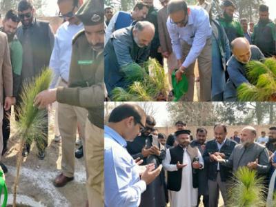  درخت لگانا سنت نبوی ﷺ ہے اور عین عبادت ہے،سید یاور بخاری